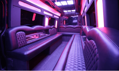 Destin 14 Passenger Sprinter Bus Interior